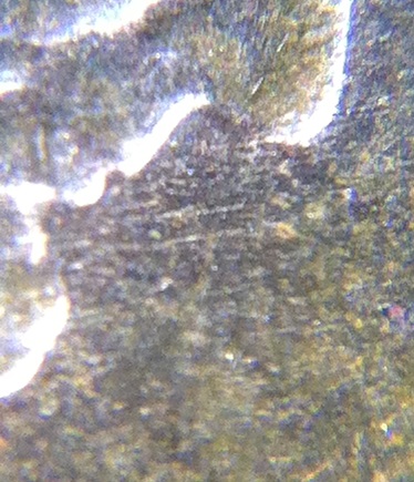 Help...-1909-VDB-Matte-Proof?!
