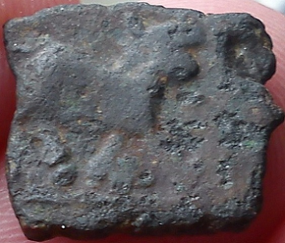Stumped-On-This-Square-Coin,-Humped-Bull-Right?/Bust-Right?