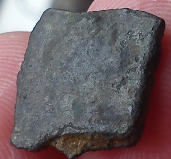 Stumped-On-This-Square-Coin,-Humped-Bull-Right?/Bust-Right?