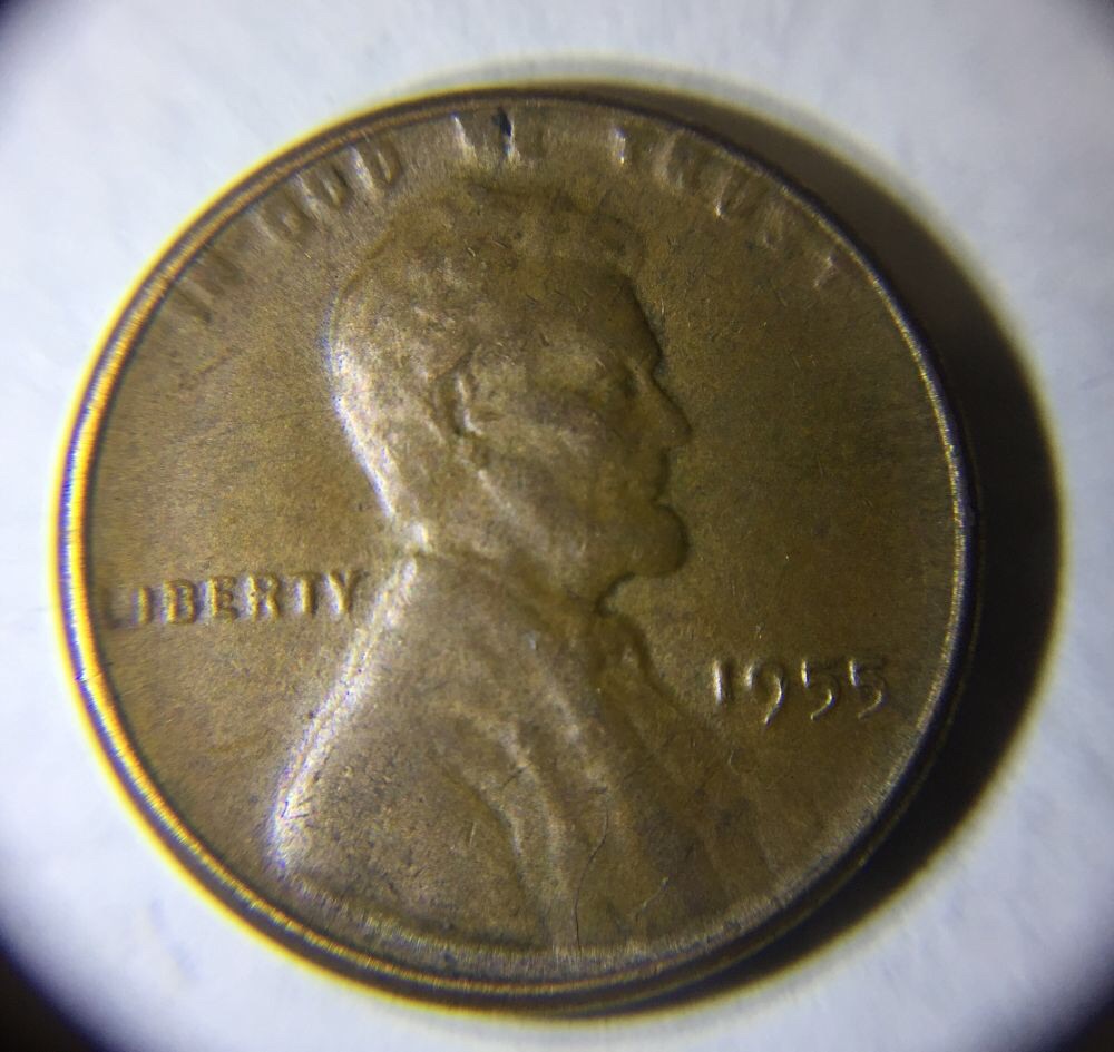 Confused,-1955-Wheat