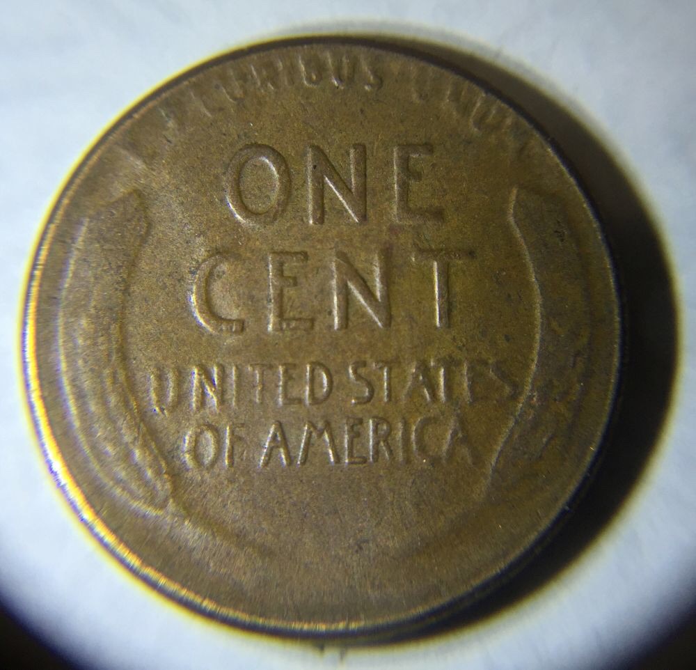 Confused,-1955-Wheat