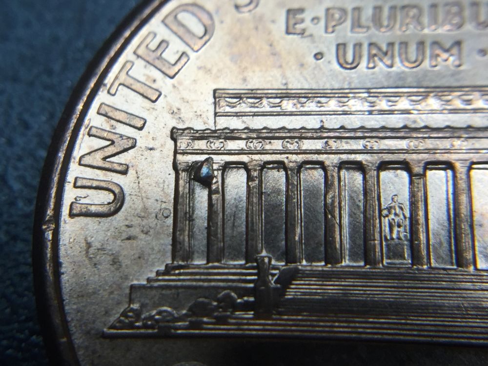 Lincoln-Memorial-Has-Bee-Problems-!