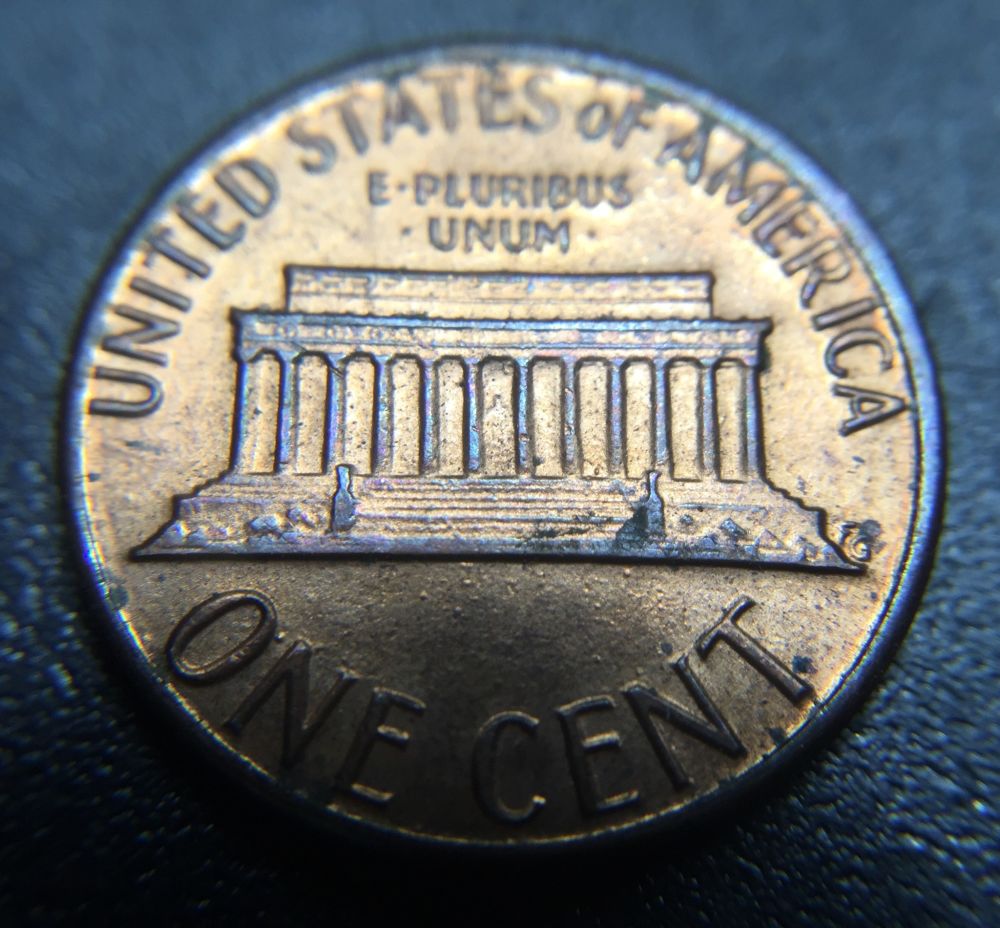 1984-DDO-Candidate?