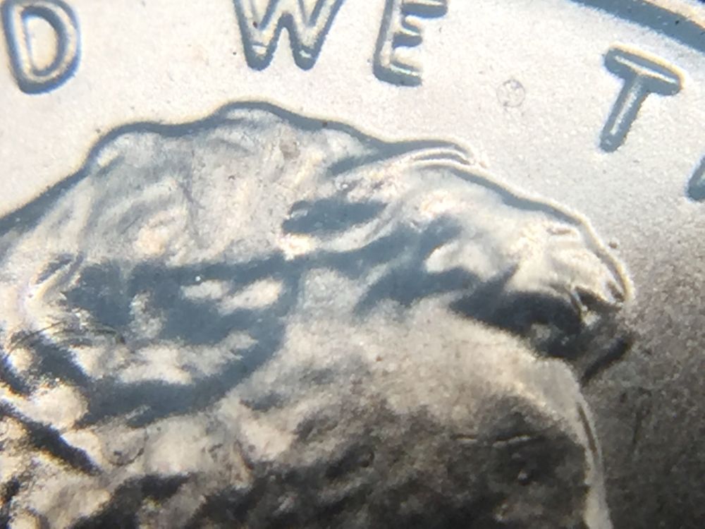 2015-1c-WDDR-002