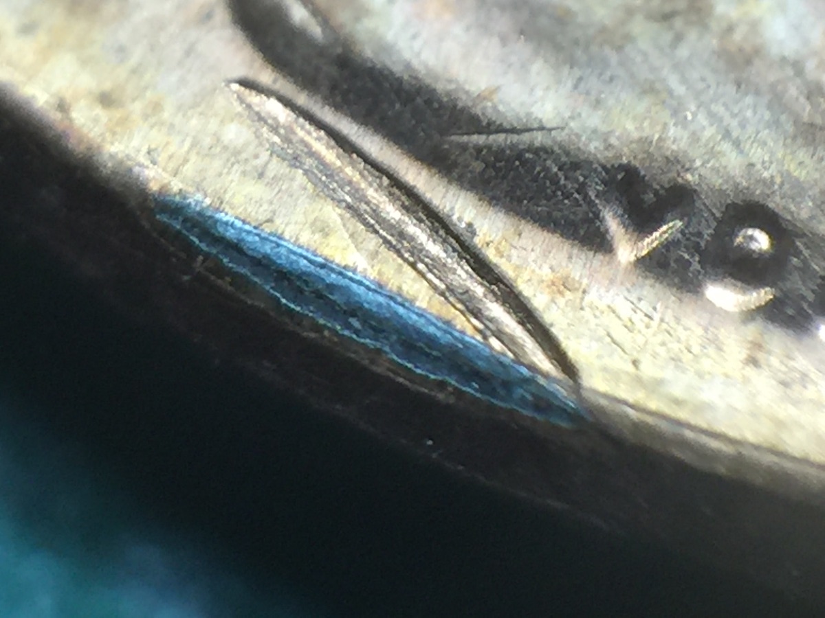2010-Cent-Struck-Through,-Need-Help