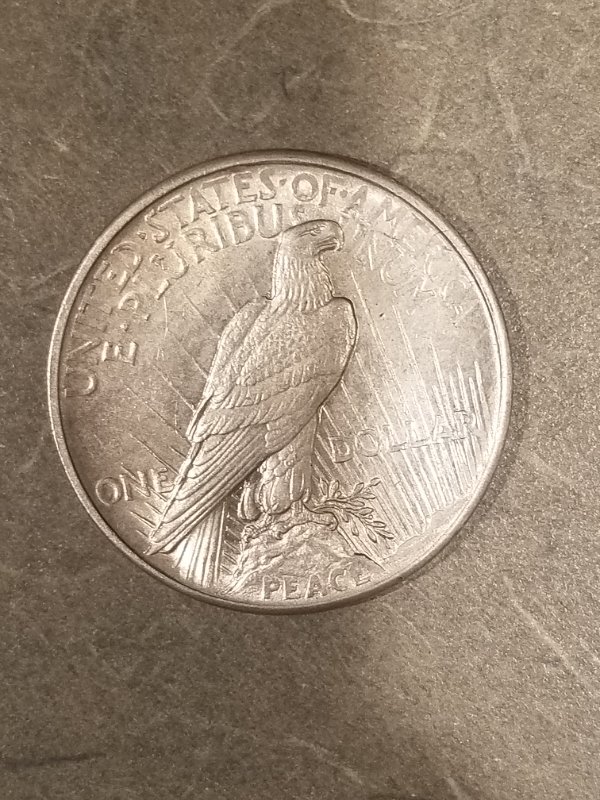 1921-Peace-Silver-Dollar-With-Die-Crack?