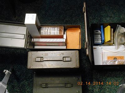 Storing-Coins-In-Gun-Safes---Question
