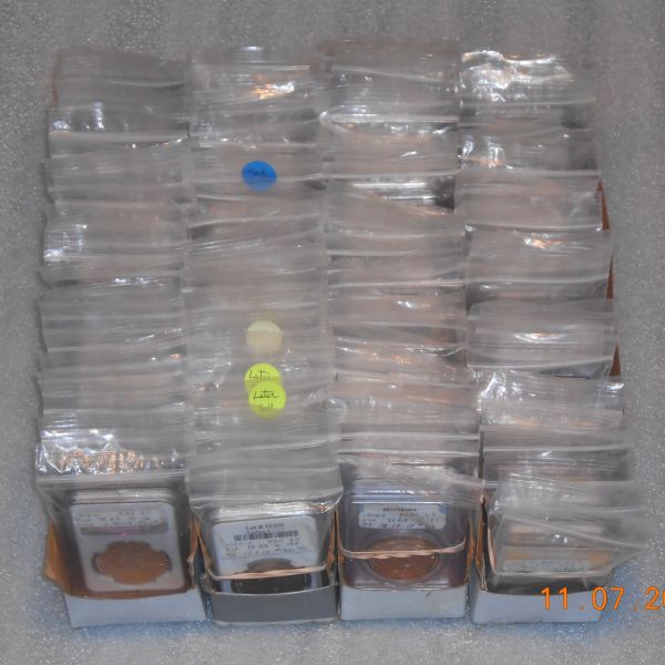 Slabbed-Coin-Storing-Protection