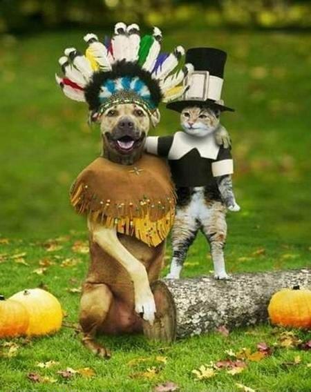 Official-CCF-Happy-Thanksgiving-Thread
