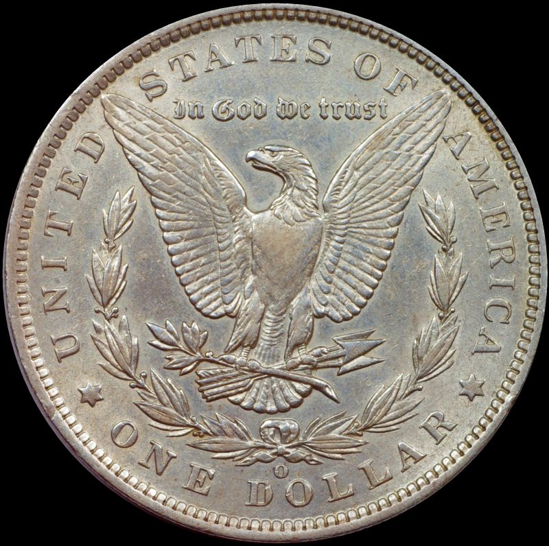 What's-Your-Favorite-Eagle?