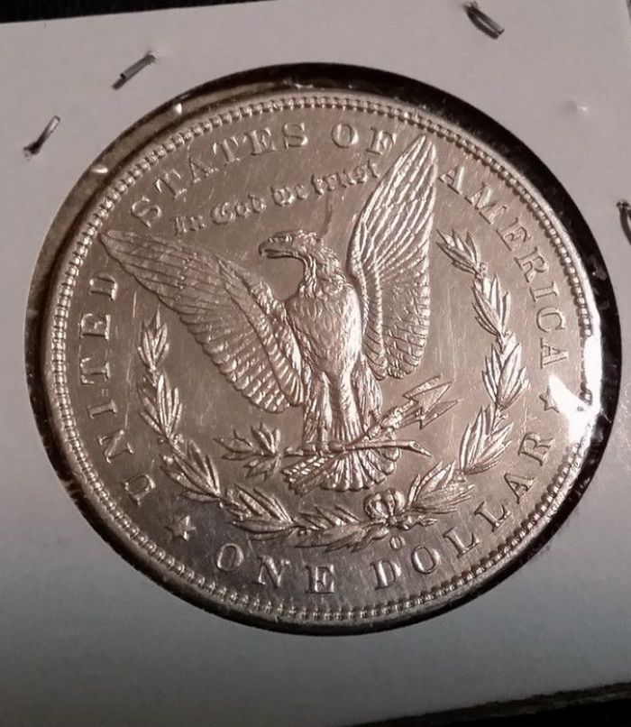 Morgan-Silver-Dollar-Grade
