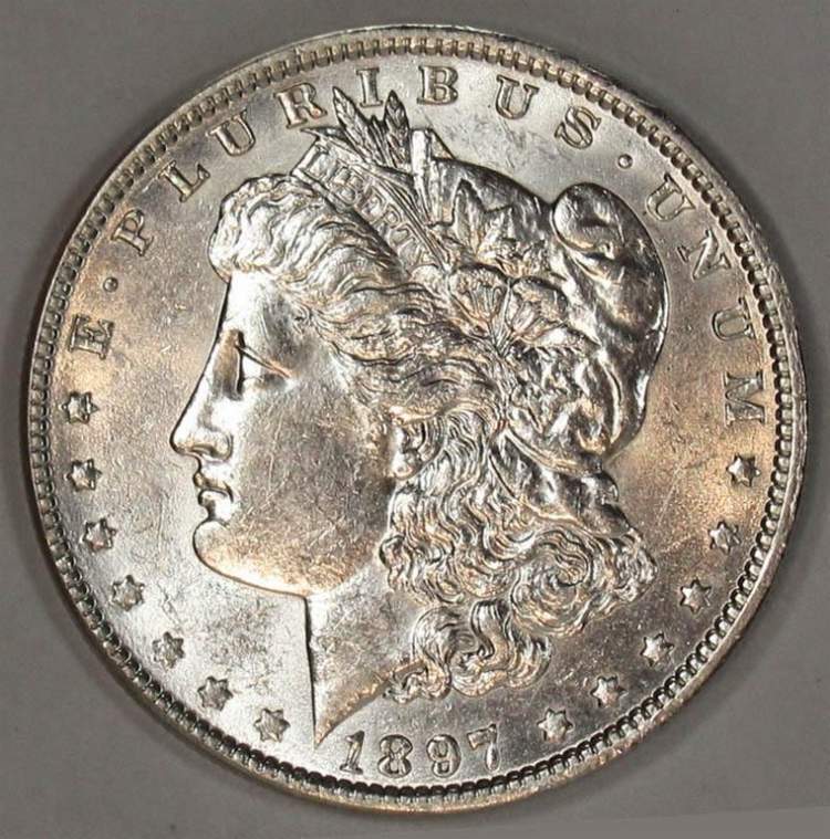 Morgan-Silver-Dollar-Grade