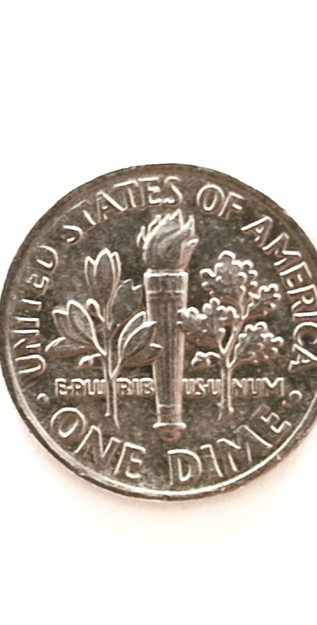 Need-Help-1989-Roosevelt-Dime-Philadelphia-Mint-Error-In-Leaf-On-Back