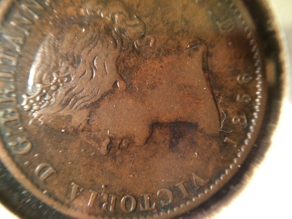 1856-Nova-Scotia-Token.-DDO?