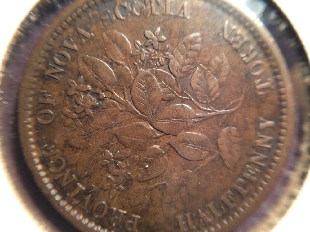 1856-Nova-Scotia-Token.-DDO?