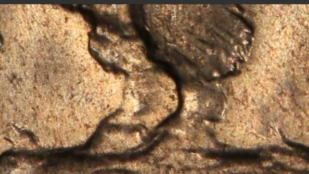 Does-This-Buffalo-Nickel-Have-3&1/2-Legs?