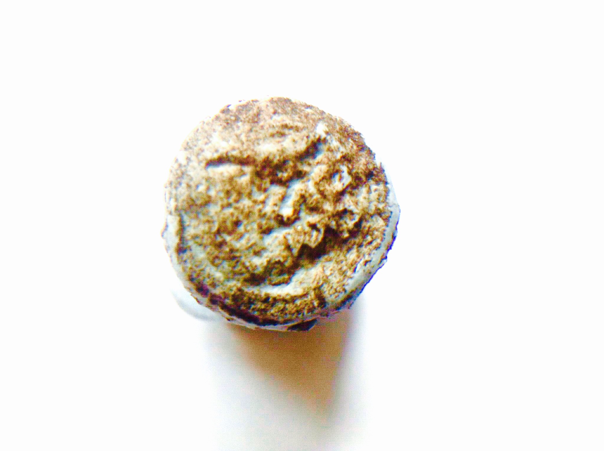 Possible-Coin-Die/Mould?