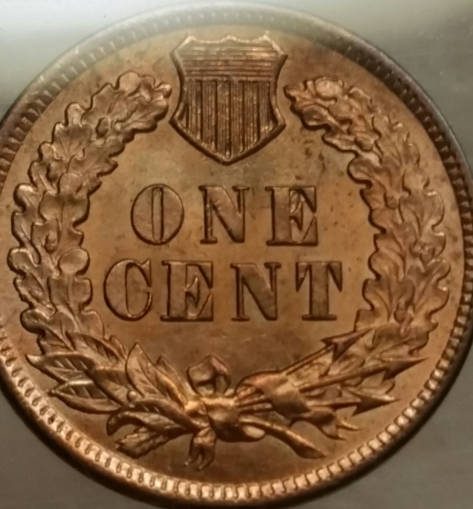 1901-Indian-Head-Cent,-Grading-Opinions?--Should-I-Submit-To-PCGS?