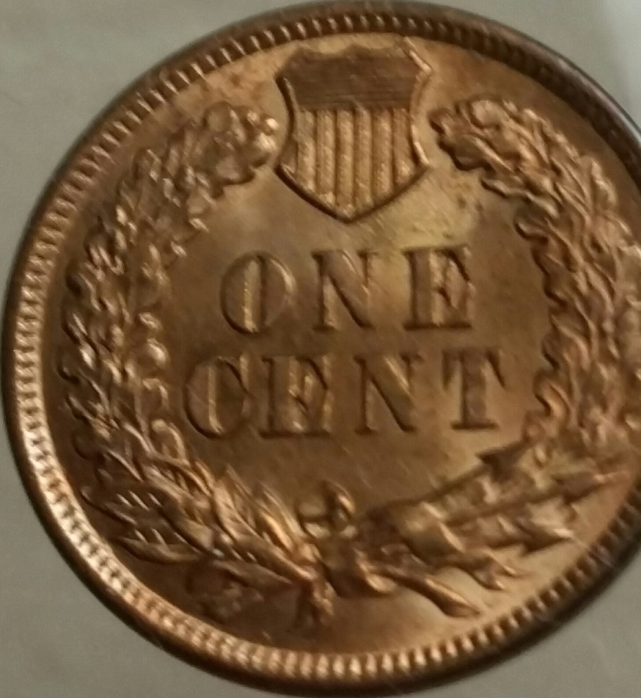 1901-Indian-Head-Cent,-Grading-Opinions?--Should-I-Submit-To-PCGS?