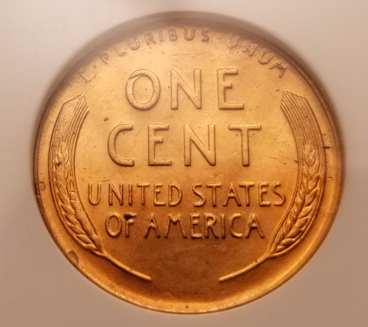 Wheat-Pennies-Impulse-Buy...good,-Bad,-Or-Ugly