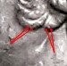 2017-D-District-Of-Columbia-State-Quarter-Doubled-Die