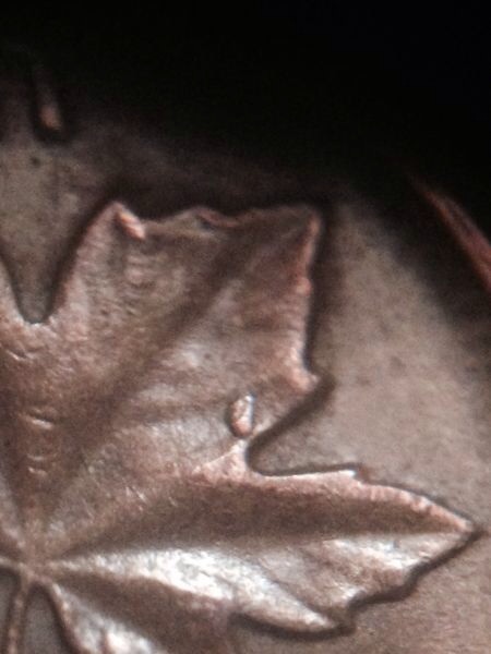 Error-Canadian-Pennies-?