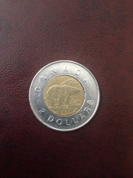 1996-Toonie