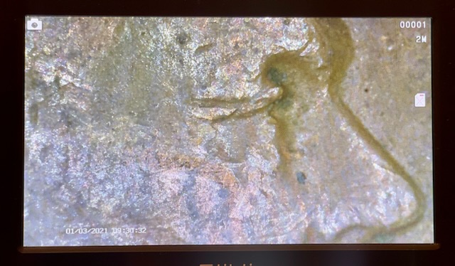 Face-Error-On-Wheat-Penny