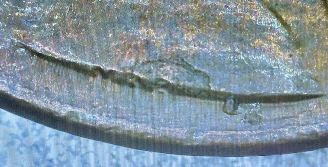 1986-D-Lincoln-Cent-DDO?