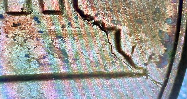 1985-Lincoln-Penny-Ear-Error,-Die-Cracks