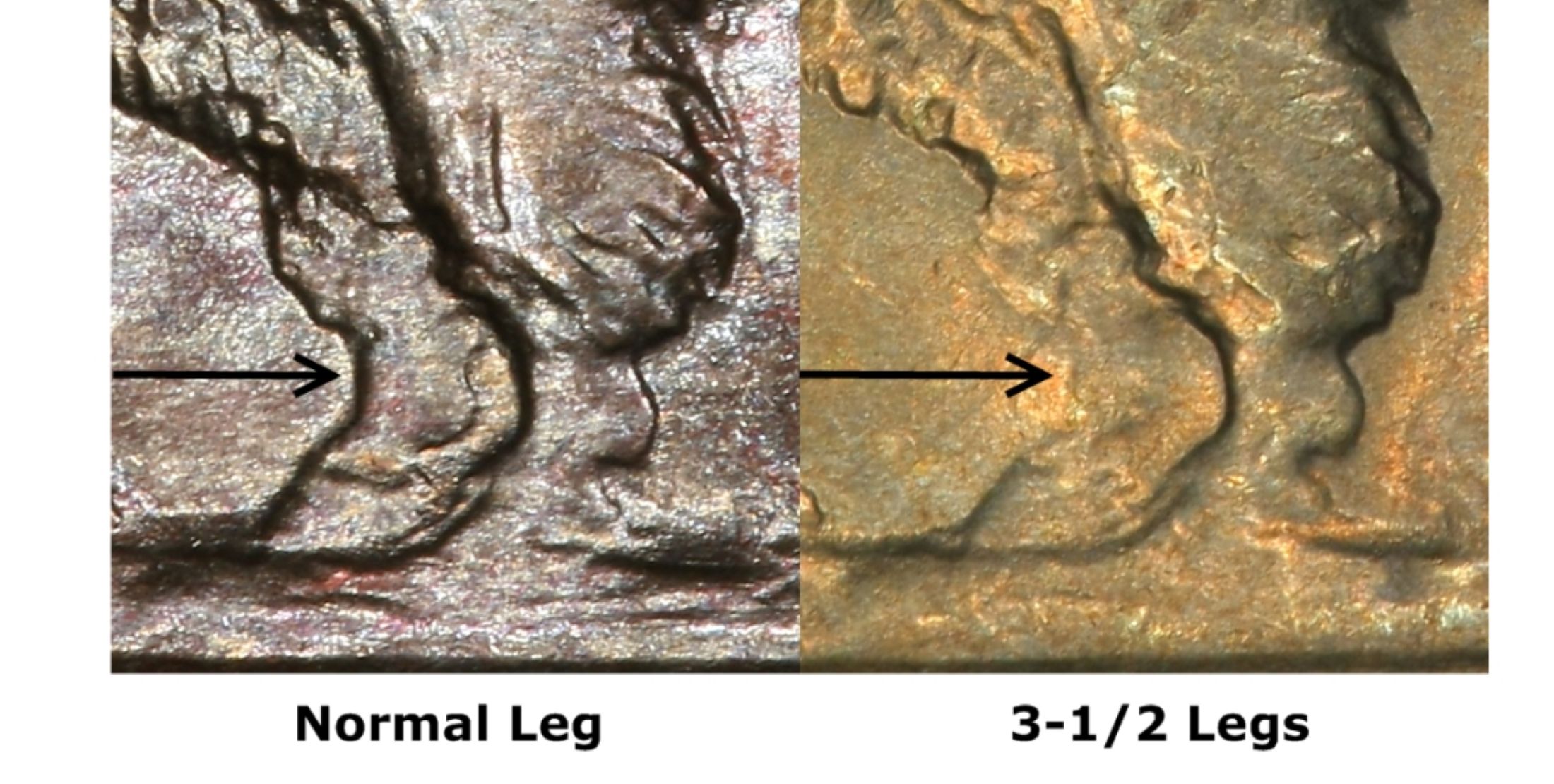 A-1938-D-3-1/2-Leg-Buffalo-?--Pleas-Let-Me-Know-What-You-Think.