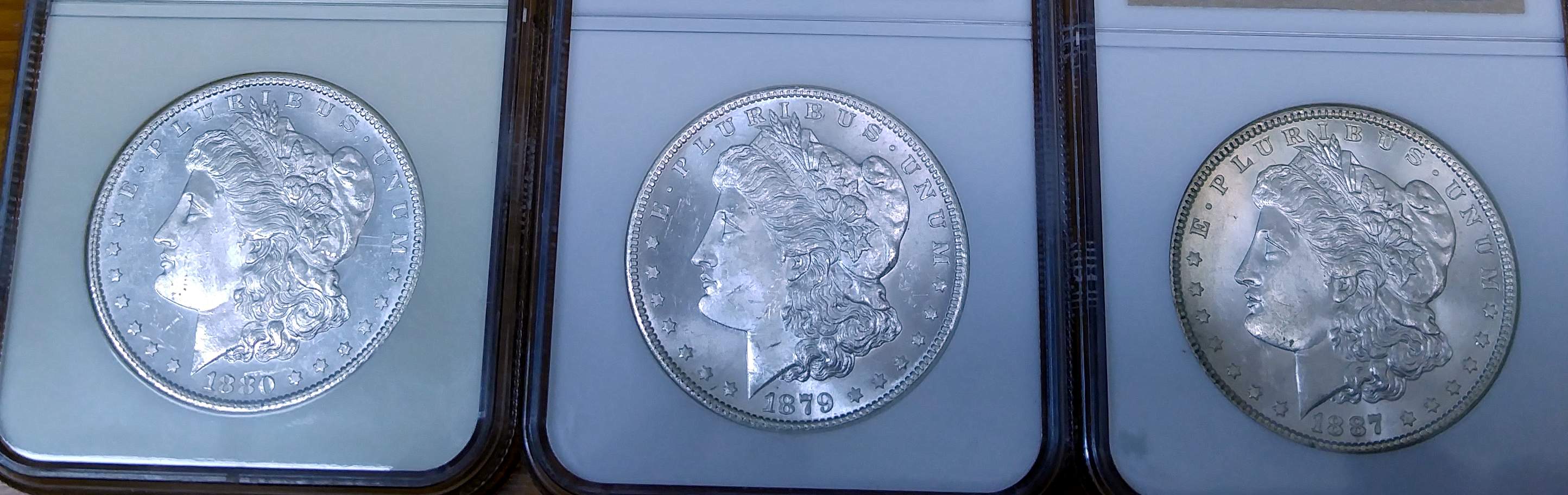 Find-The-MS-65-Morgan