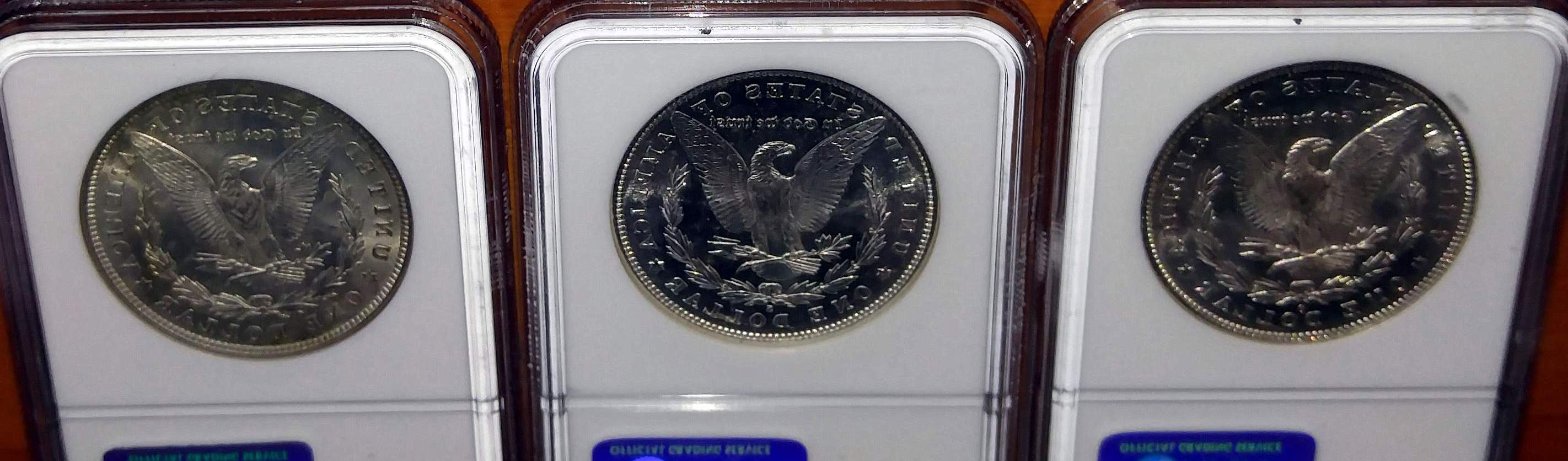 Find-The-MS-65-Morgan