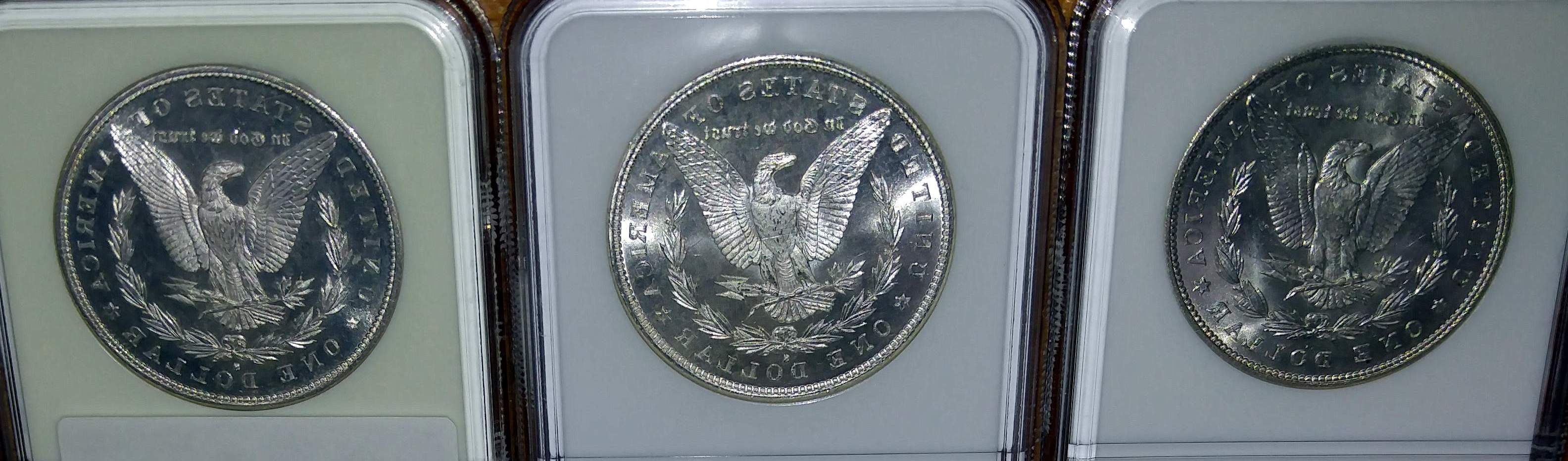 Find-The-MS-65-Morgan