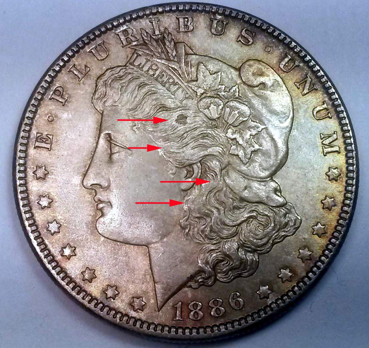 1886-P-Morgan-Dollar-For-Grading