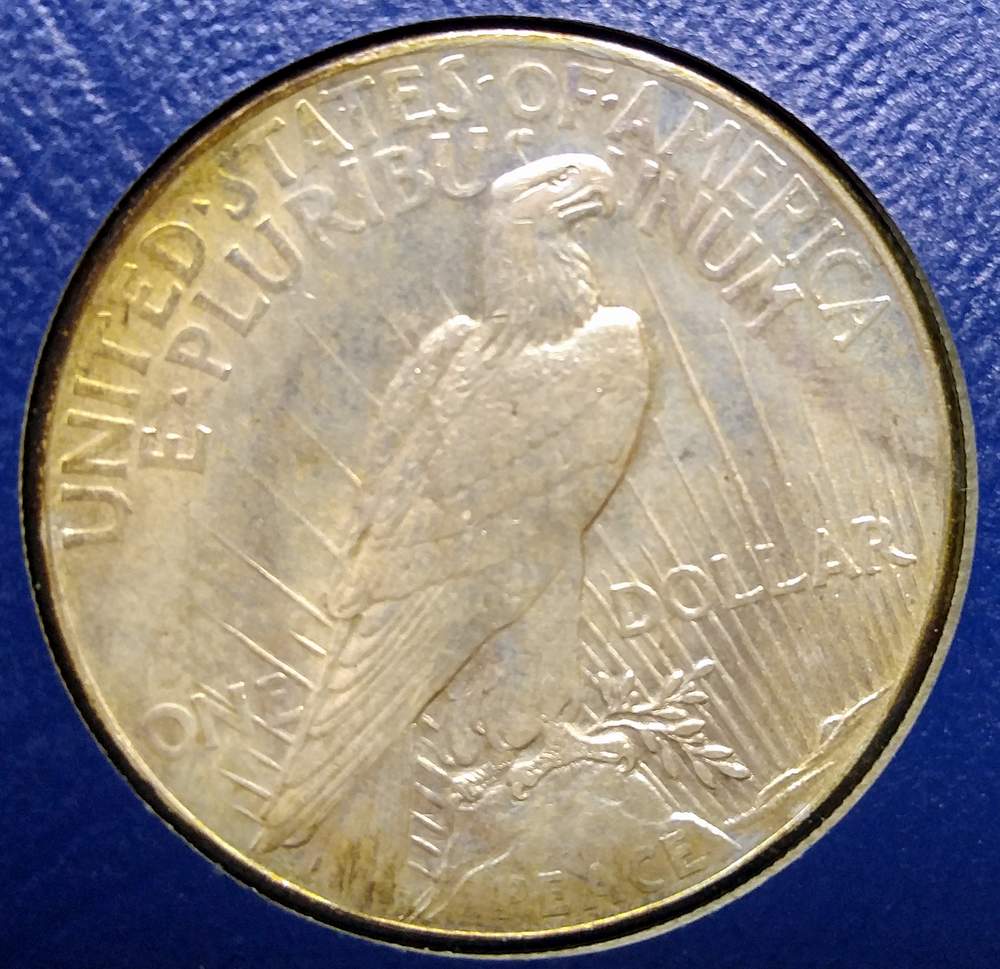 Grading-Thoughts-On-1921-Peace-Dollar-#1