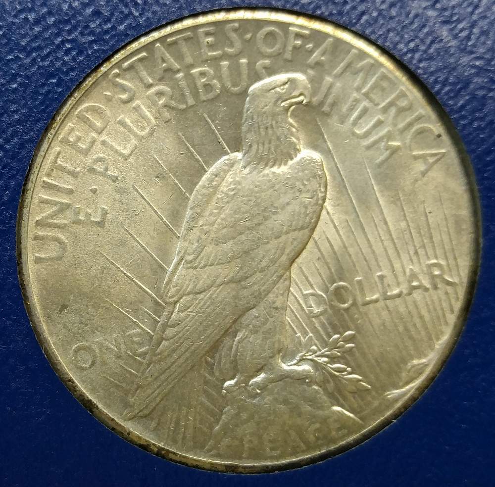 Grading-Thoughts-On-1928-Peace-Dollar-#2