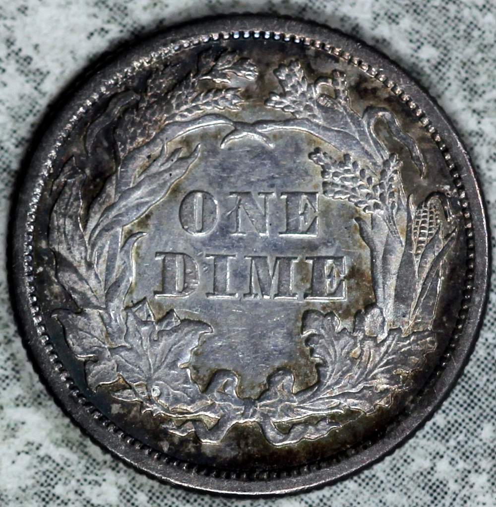 Raw-1875-Seated-Dime-For-Your-Grade-And-Thoughts.