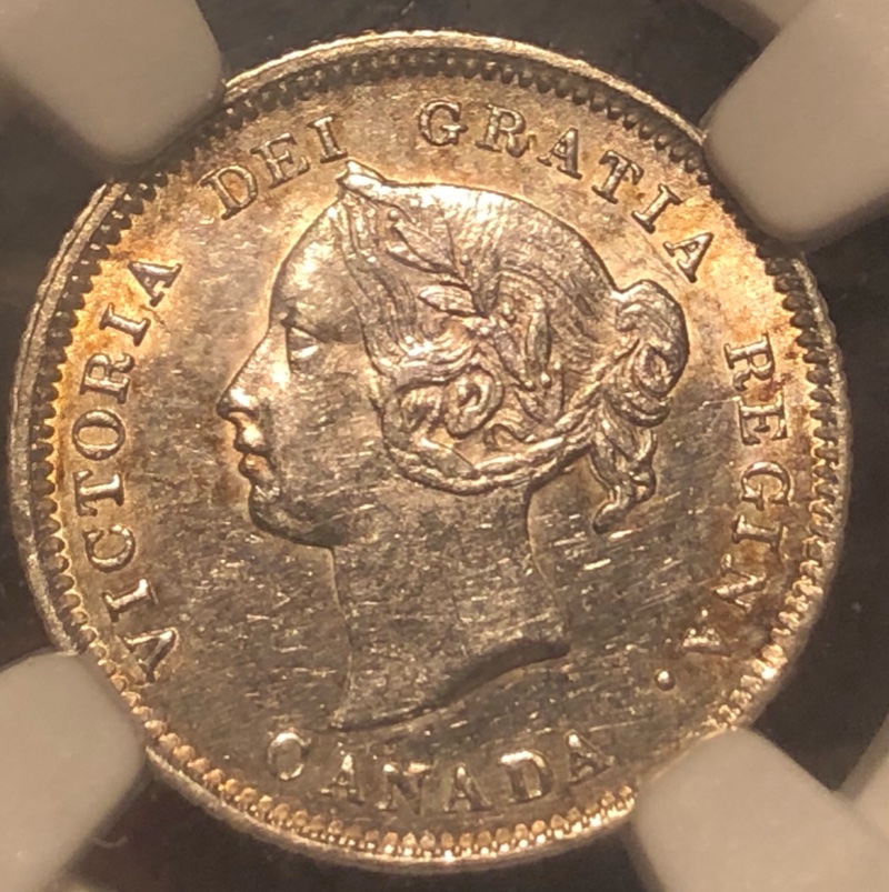 You-Vs-NGC-1881-5-Cent-Canada