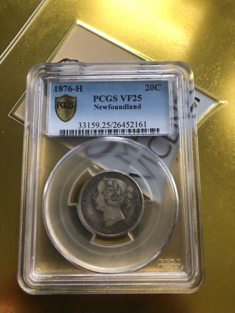 You-Vs-PCGS-20-Cent-NFLD-1876