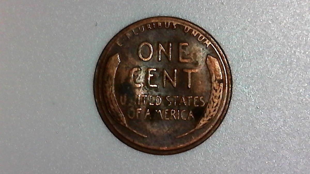 1956-D-Wheat-Cent-Error?