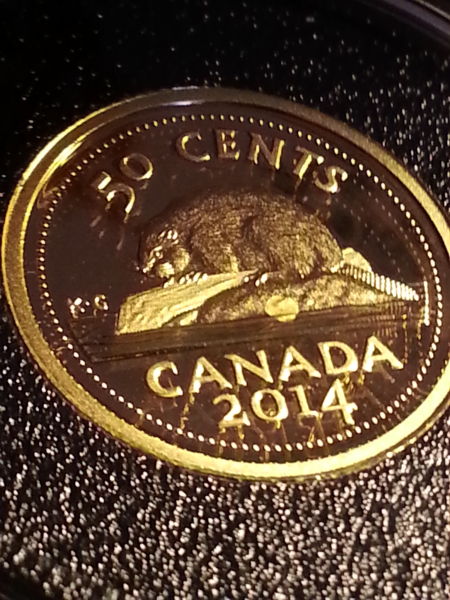 2014-Gold-50c-Beaver