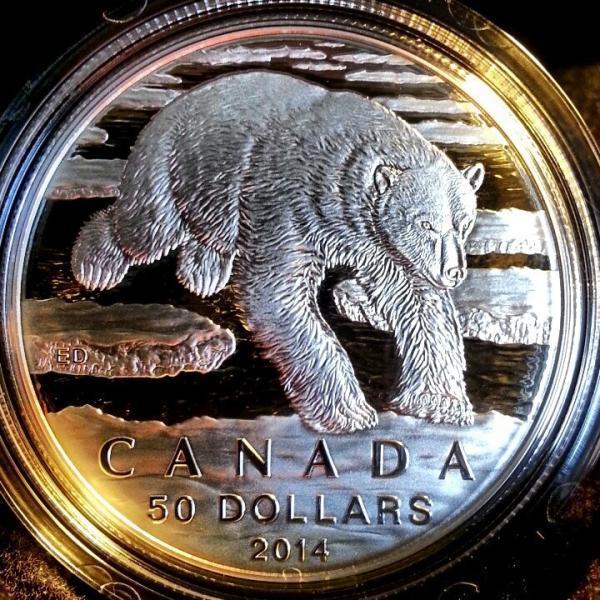$50-For-$50-Just-Announced---A-Polar-Bear