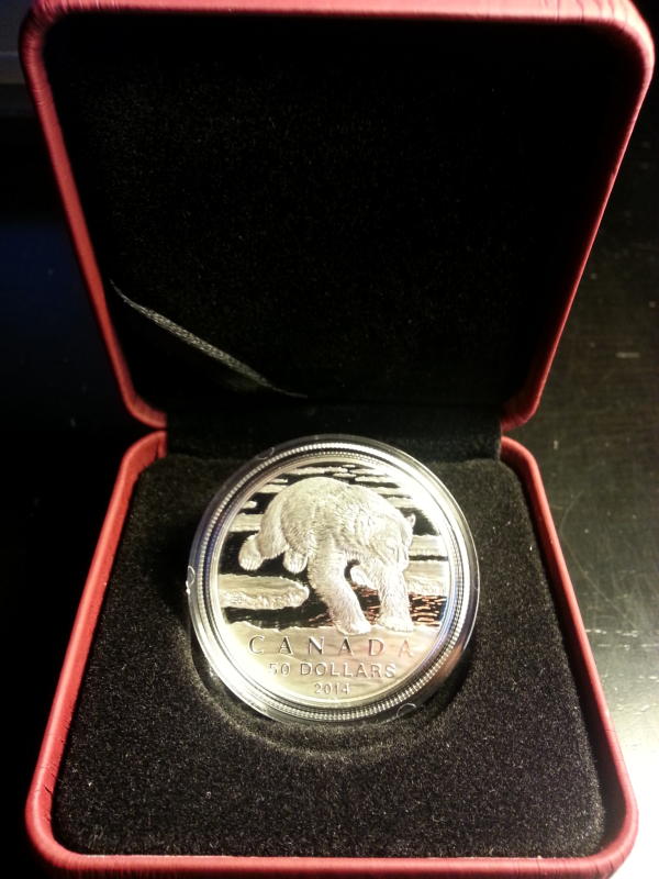 $50-For-$50-Just-Announced---A-Polar-Bear
