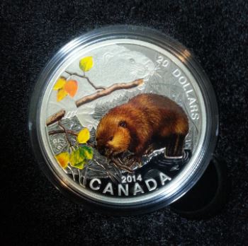 Baby-Beaver-Coin-In-Hand-Pics,-Canada-Post-Stamp-Set
