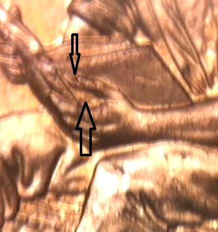 2009-Lincoln-DDR-Error---Cannot-Identify