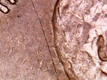 Bisecting-Rim-To-Rim-Die-Cracks-On-U.-S.-Coins----?