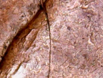 Bisecting-Rim-To-Rim-Die-Cracks-On-U.-S.-Coins----?