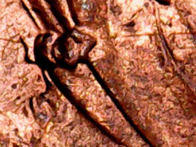 Die-Crack-+-?-1989-Penny