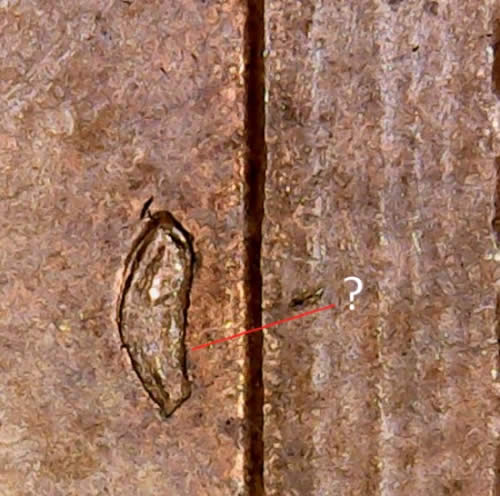 1982-LMC-Die-Chip---Unusual-Location?